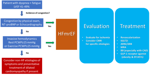 HFSA HFmrEF Statement Illustration